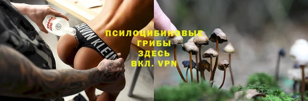 синтетический гашиш Новодвинск