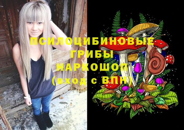 синтетический гашиш Новодвинск