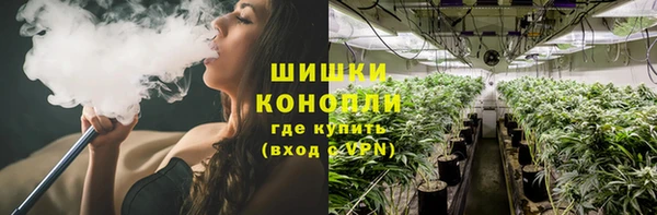 mdpv Новозыбков